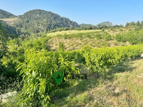 TOROSLAR ÇAĞLARCA 3210 m² SATILIK BAHÇE
